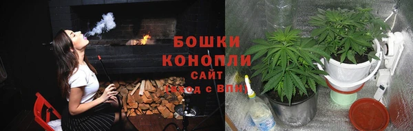 ПСИЛОЦИБИНОВЫЕ ГРИБЫ Арсеньев