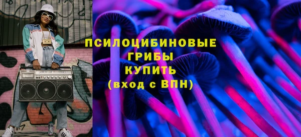 ПСИЛОЦИБИНОВЫЕ ГРИБЫ Арсеньев
