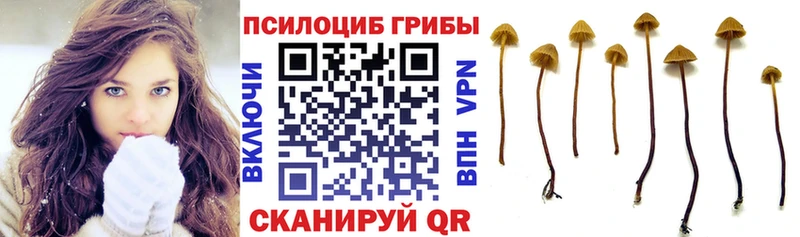 Галлюциногенные грибы прущие грибы  Купить  Удомля 
